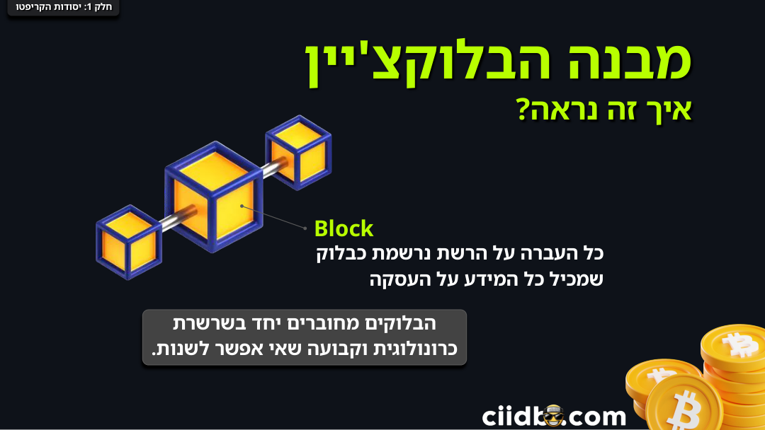מבנה הבלוקצ'יין — בלוקים בשרשרת