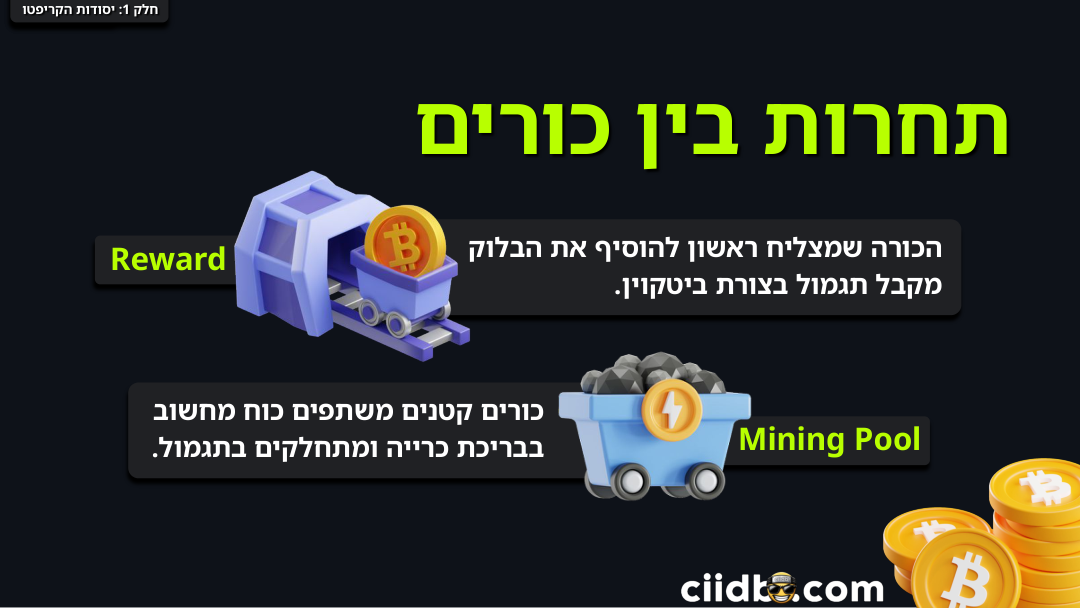 תחרות בין כורים, Mining Pool, Reward